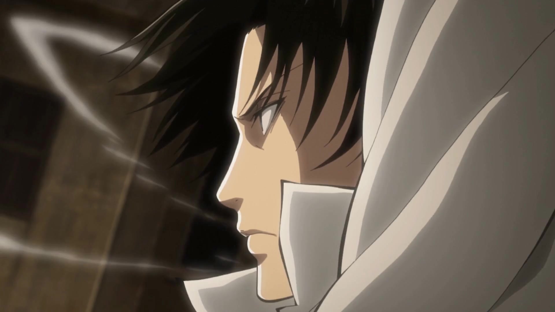 levi_ova_25-10x-RIFE-RIFE4.6-239.76fps.mp4